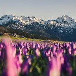 Koca Ojstrica - Velika Planina * Stahovica