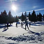 Koca Ojstrica - Velika Planina Alpehytte Stahovica