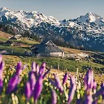 Alpehytte Koca Ojstrica - Velika Planina