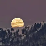 Koca Ojstrica - Velika Planina