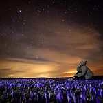 Alpehytte Koca Ojstrica - Velika Planina *