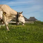 Koca Ojstrica - Velika Planina * Stahovica