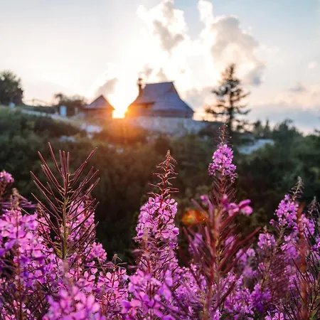 Koca Ojstrica - Velika Planina *