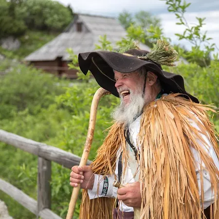 Koca Ojstrica - Velika Planina Шале Стаховица