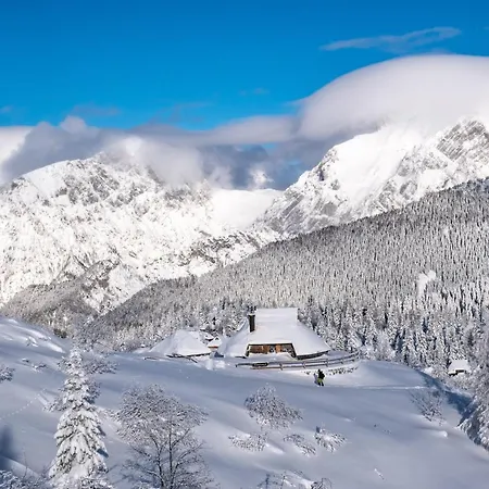 Koca Ojstrica - Velika Planina Alpehytte Stahovica
