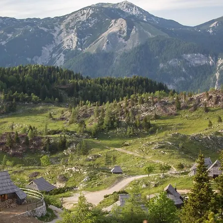 Koca Ojstrica - Velika Planina