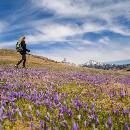Koca Ojstrica - Velika Planina * Стаховица