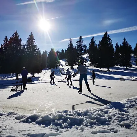 Koca Ojstrica - Velika Planina Chalé Stahovica