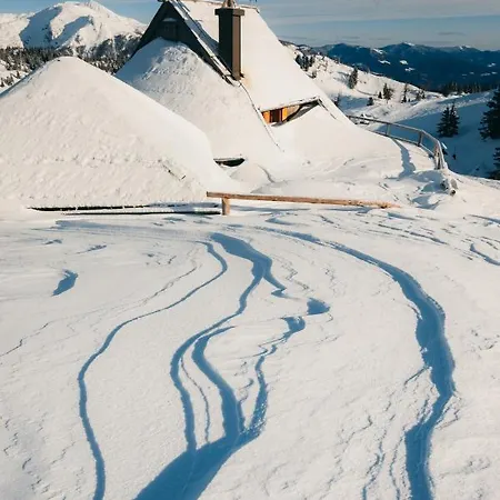 Koca Ojstrica - Velika Planina *