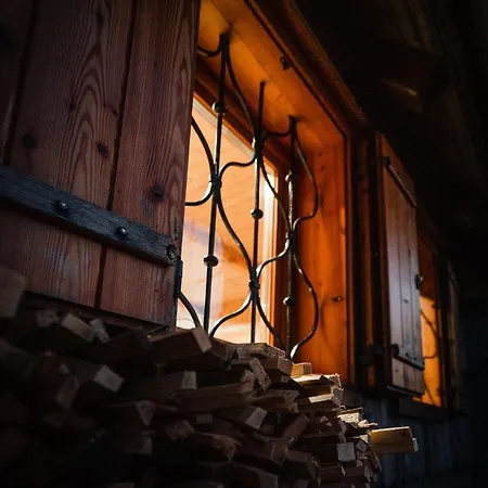 Koca Ojstrica - Velika Planina Стаховица