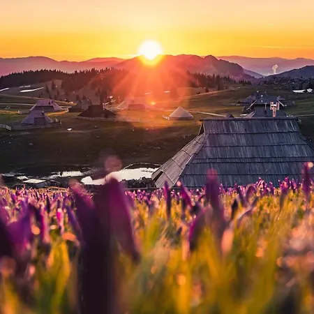 Koca Ojstrica - Velika Planina Chalet *