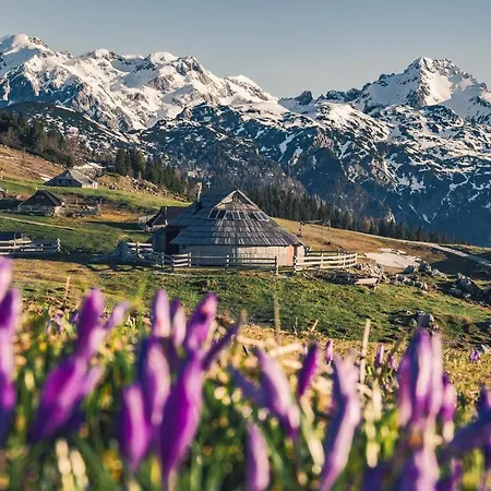 Alpehytte Koca Ojstrica - Velika Planina