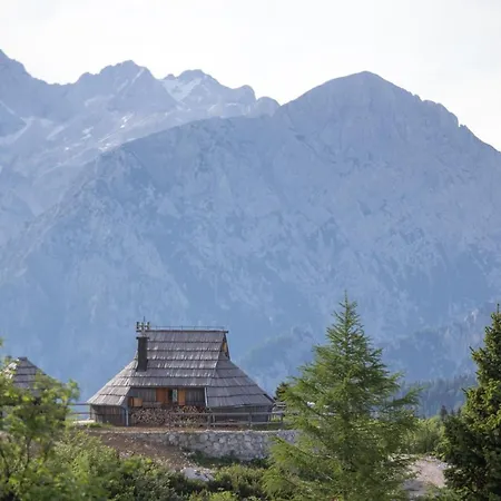 Alpstuga Koca Ojstrica - Velika Planina Stahovica