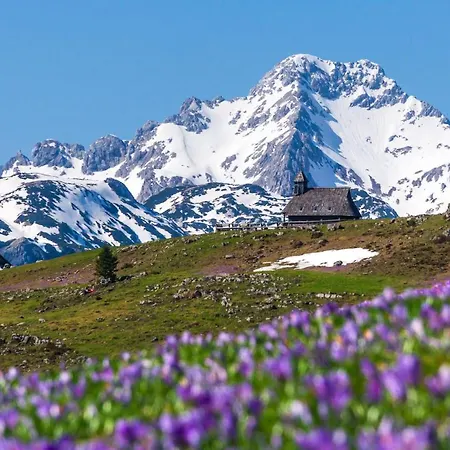 Koca Ojstrica - Velika Planina Alpehytte *