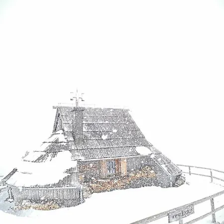 Koca Ojstrica - Velika Planina Chalet