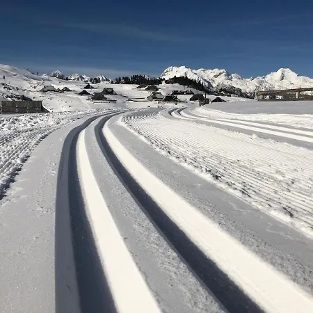 Koca Ojstrica - Velika Planina * Stahovica