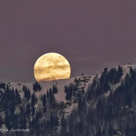 Koca Ojstrica - Velika Planina
