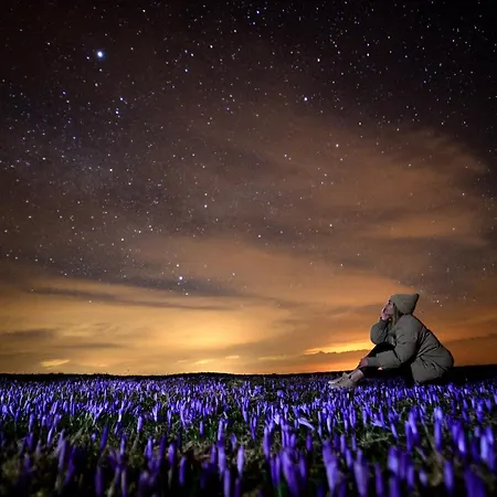 Alpehytte Koca Ojstrica - Velika Planina *