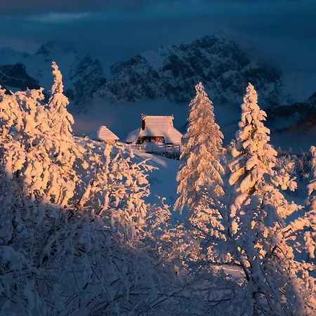 Alpstuga Koca Ojstrica - Velika Planina Stahovica