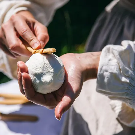 Шале Koca Ojstrica - Velika Planina Стаховица