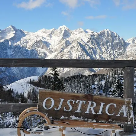Koca Ojstrica - Velika Planina Chalé