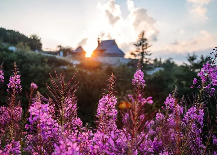 Koca Ojstrica - Velika Planina *