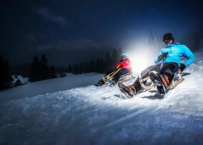 Koca Ojstrica - Velika Planina