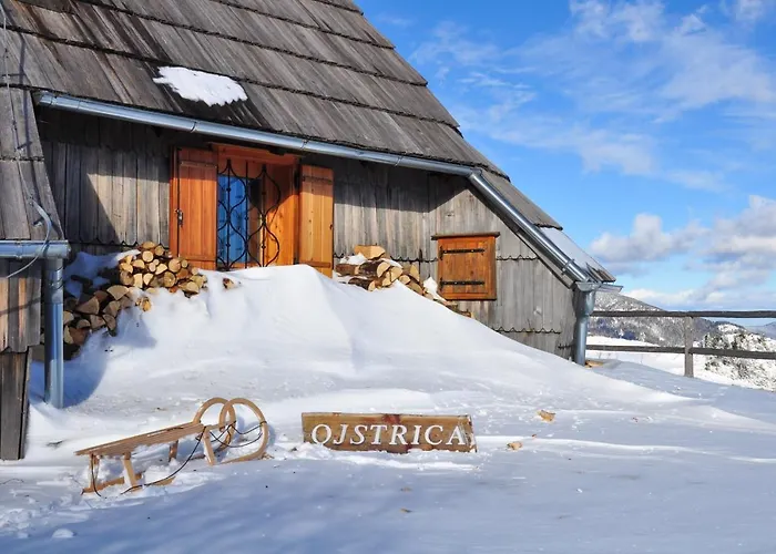 Chalet Koca Ojstrica - Velika Planina *