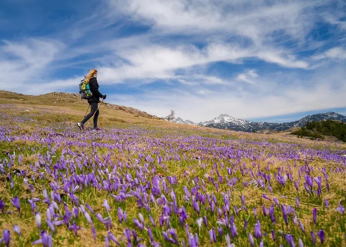 Koca Ojstrica - Velika Planina * Stahovica