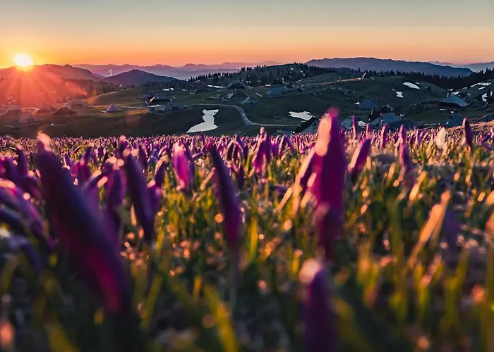 Horská chata Koca Ojstrica - Velika Planina
