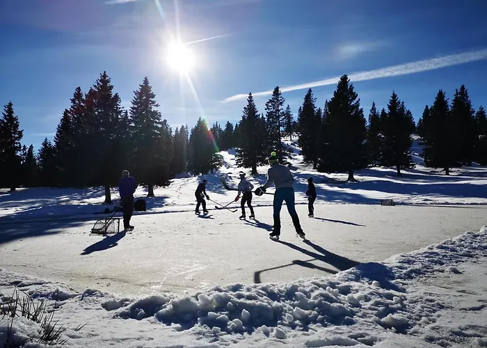 Koca Ojstrica - Velika Planina Chalet Stahovica