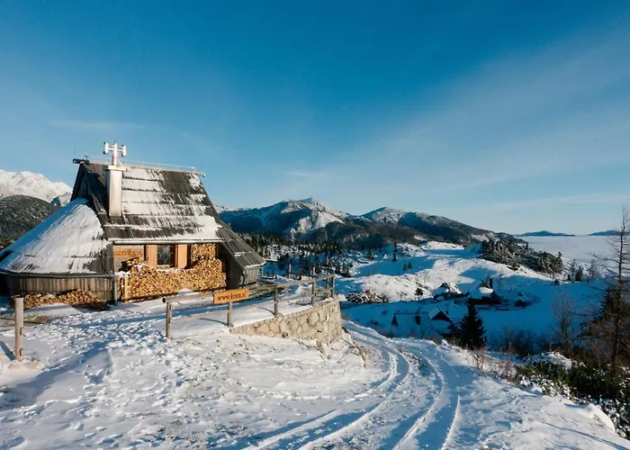 Koca Ojstrica - Velika Planina * Stahovica