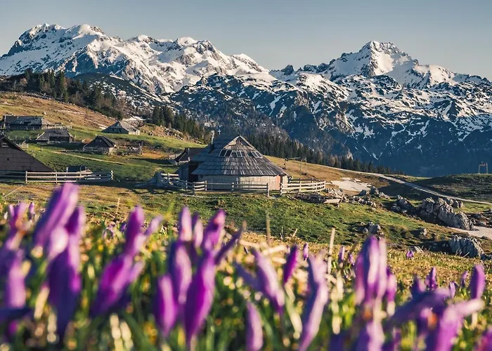 Chalet Koca Ojstrica - Velika Planina