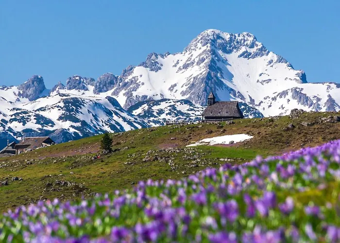 Koca Ojstrica - Velika Planina Chalet *