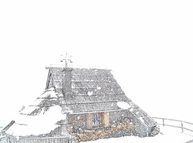 Koca Ojstrica - Velika Planina Chalet