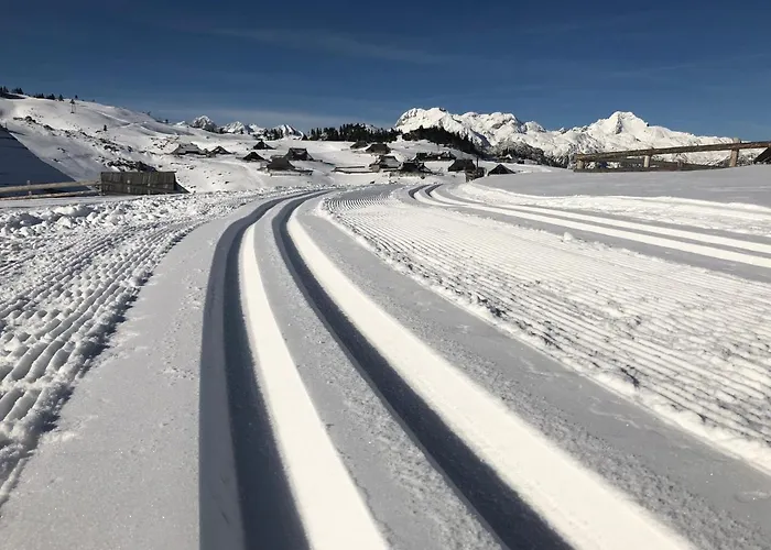 Koca Ojstrica - Velika Planina * Stahovica