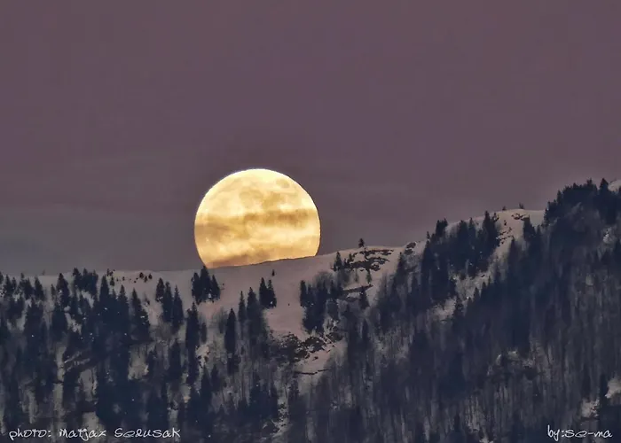 Koca Ojstrica - Velika Planina