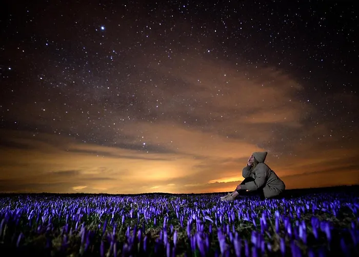 Chalet Koca Ojstrica - Velika Planina *