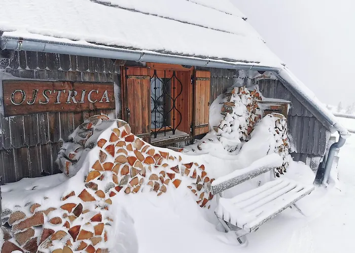 Koca Ojstrica - Velika Planina Horská chata Stahovica